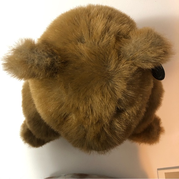 24K Polar Puff Special Effects 5718 Deedee Brown Bear 13" Plush Bow Ear Tag 1989 - Picture 5 of 16